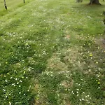 Via Gorizia 8 Дом отдыха Чечина